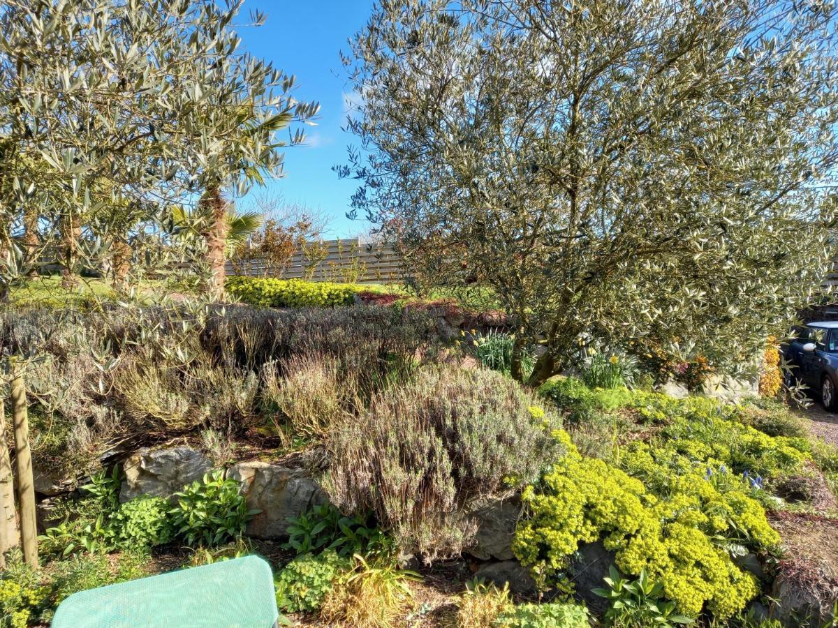 Havre De Paix Et Jardin Tropical. Chambre Privee Le Rheu Zewnętrze zdjęcie